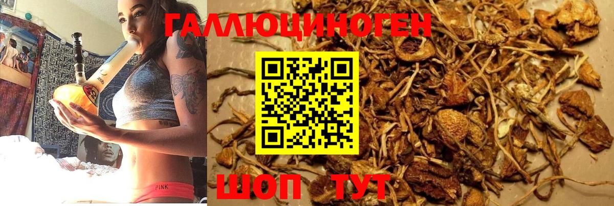Псилоцибиновые грибы MAGIC MUSHROOMS Гулькевичи